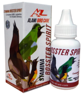 booster spirit booster spirit